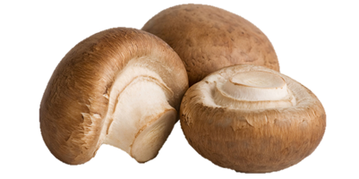 Champignons